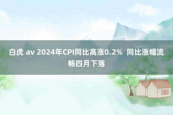 白虎 av 2024年CPI同比高涨0.2%  同比涨幅流畅四月下落