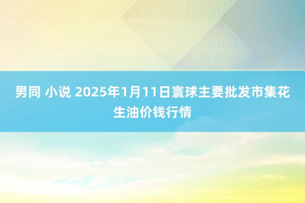 男同 小说 2025年1月11日寰球主要批发市集花生油价钱行情