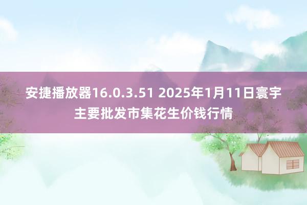 安捷播放器16.0.3.51 2025年1月11日寰宇主要批发市集花生价钱行情