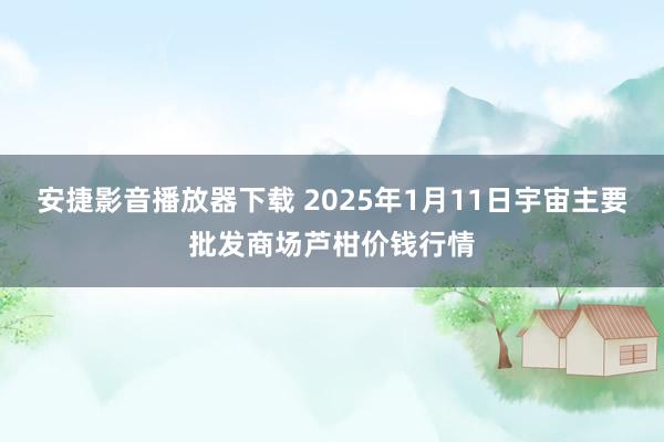 安捷影音播放器下载 2025年1月11日宇宙主要批发商场芦柑价钱行情