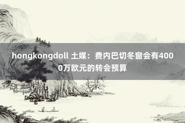 hongkongdoll 土媒：费内巴切冬窗会有4000万欧元的转会预算