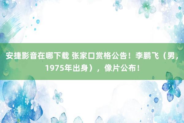 安捷影音在哪下载 张家口赏格公告！李鹏飞（男，1975年出身），像片公布！