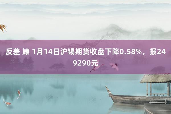 反差 婊 1月14日沪锡期货收盘下降0.58%，报249290元